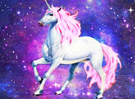 beautiful unicorn images|show me pictures of unicorns.